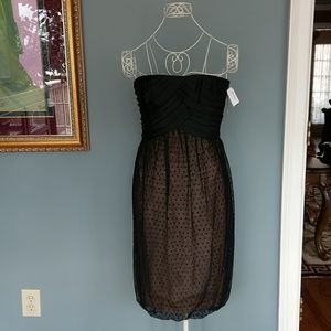 Carmen Marcvalo Signature black dress